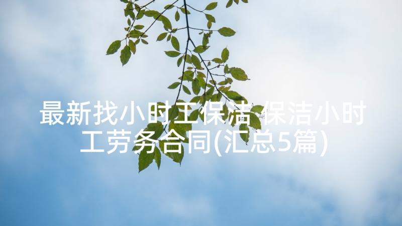 最新找小时工保洁 保洁小时工劳务合同(汇总5篇)