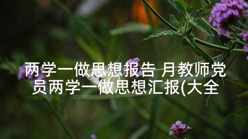 两学一做思想报告 月教师党员两学一做思想汇报(大全5篇)