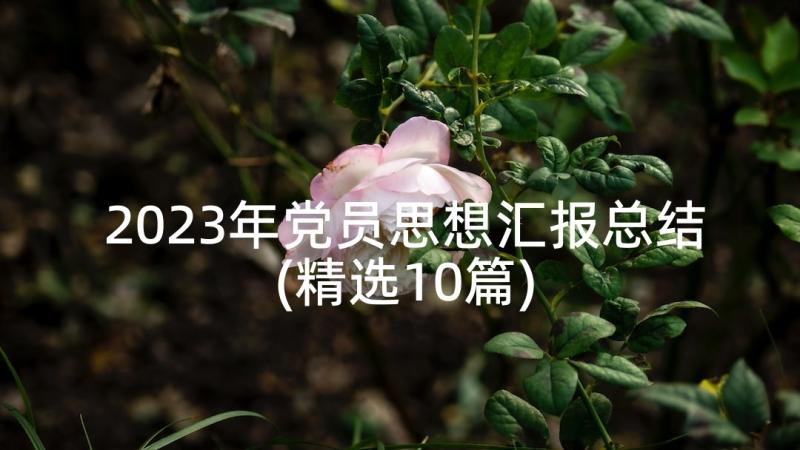 最新教师节教师活动美篇 教师节工会活动心得体会(精选7篇)