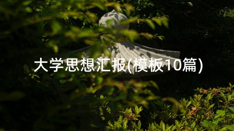 大学思想汇报(模板10篇)