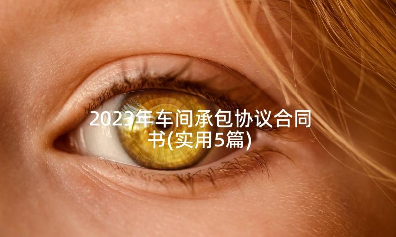 2023年车间承包协议合同书(实用5篇)