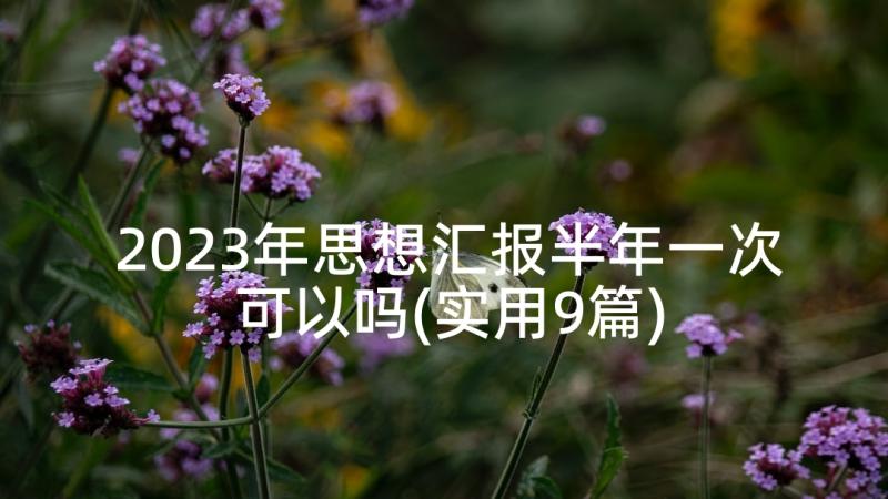 2023年思想汇报半年一次可以吗(实用9篇)