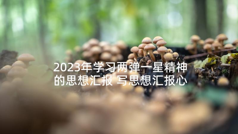 2023年学习两弹一星精神的思想汇报 写思想汇报心得体会(优秀10篇)