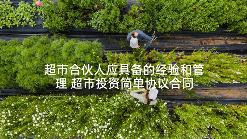 超市合伙人应具备的经验和管理 超市投资简单协议合同(大全6篇)