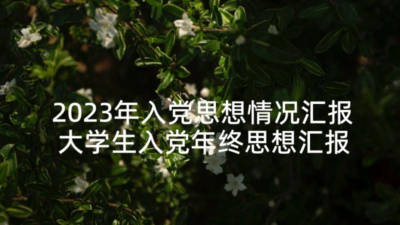 2023年入党思想情况汇报 大学生入党年终思想汇报(优秀5篇)