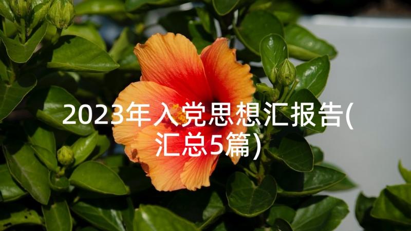 2023年入党思想汇报告(汇总5篇)