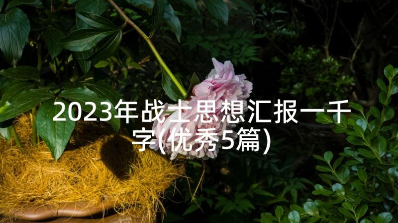 2023年战士思想汇报一千字(优秀5篇)