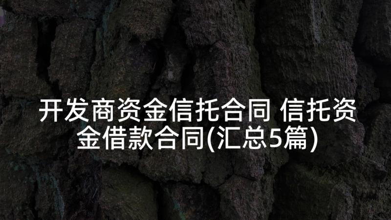 开发商资金信托合同 信托资金借款合同(汇总5篇)