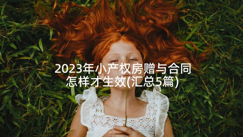 2023年小产权房赠与合同怎样才生效(汇总5篇)