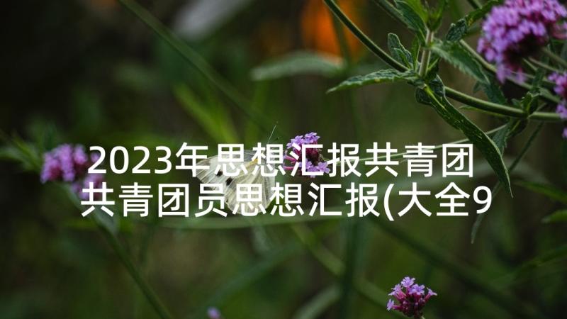 2023年思想汇报共青团 共青团员思想汇报(大全9篇)