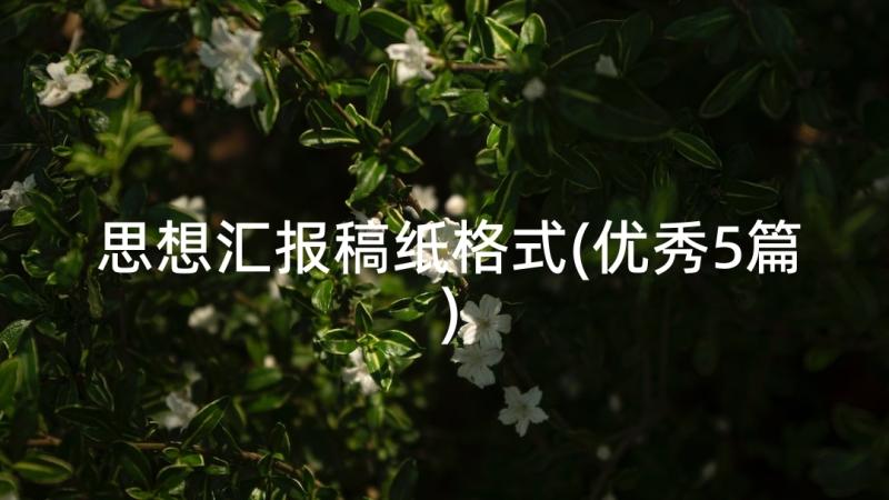 思想汇报稿纸格式(优秀5篇)