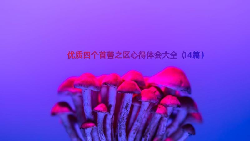 优质四个首善之区心得体会大全（14篇）