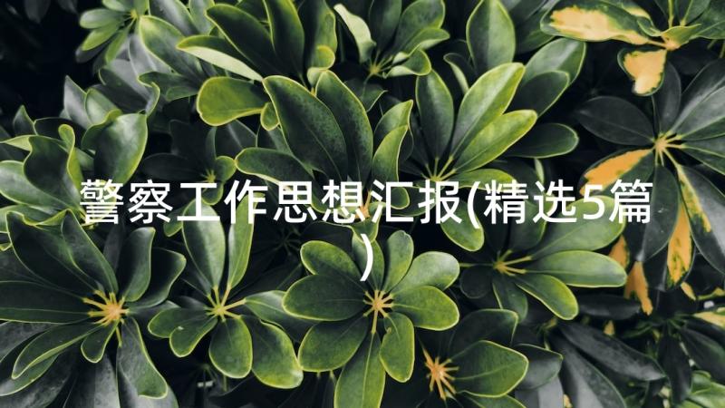 警察工作思想汇报(精选5篇)