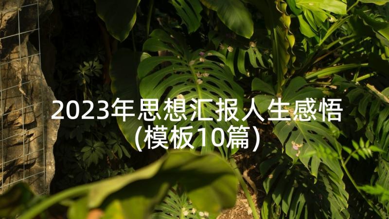 2023年思想汇报人生感悟(模板10篇)