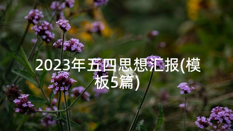 2023年五四思想汇报(模板5篇)