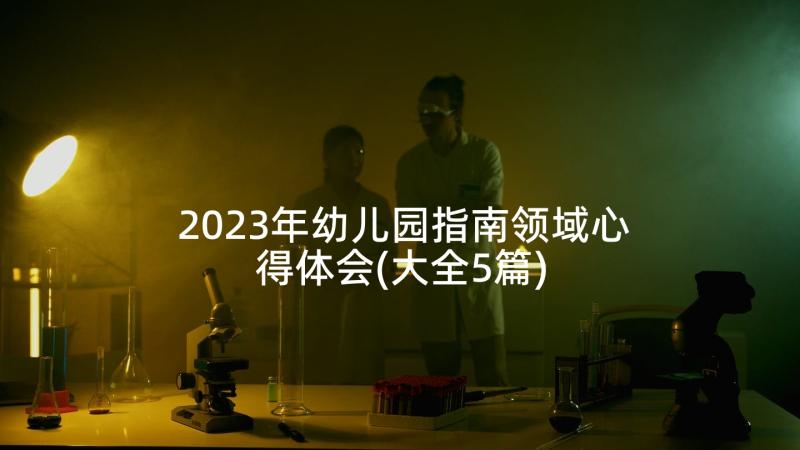 2023年幼儿园指南领域心得体会(大全5篇)