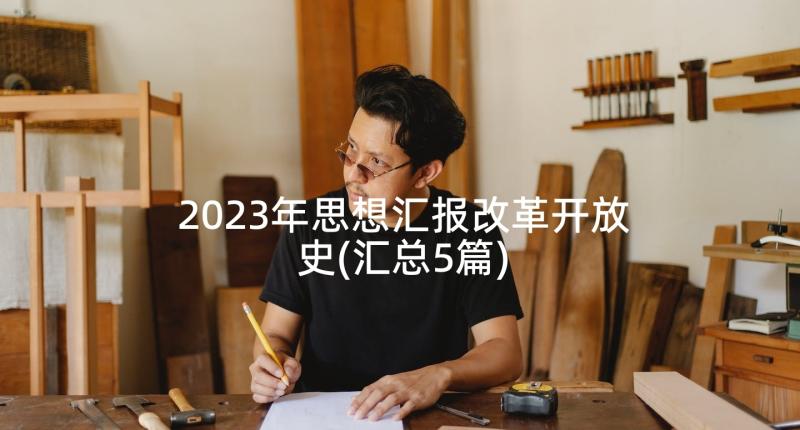 2023年思想汇报改革开放史(汇总5篇)