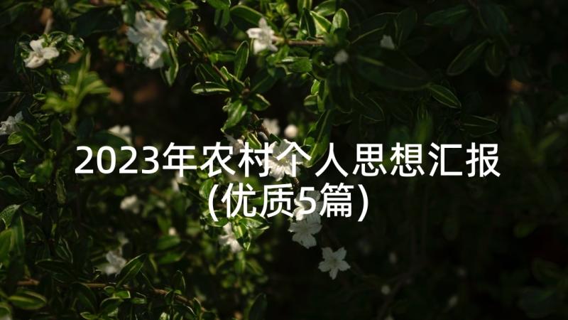 2023年农村个人思想汇报(优质5篇)