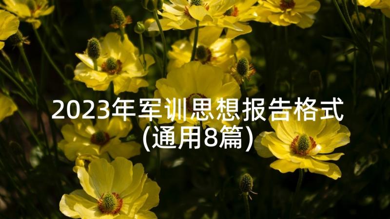 2023年军训思想报告格式(通用8篇)