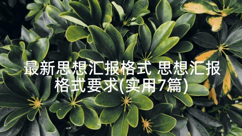 最新思想汇报格式 思想汇报格式要求(实用7篇)