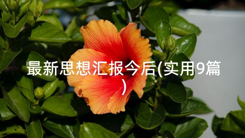 最新思想汇报今后(实用9篇)