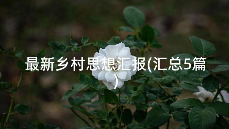 最新乡村思想汇报(汇总5篇)