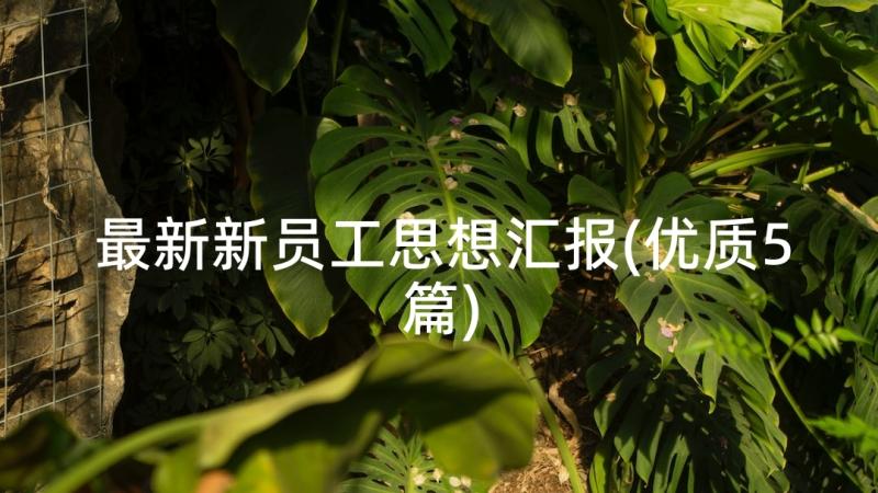 最新新员工思想汇报(优质5篇)