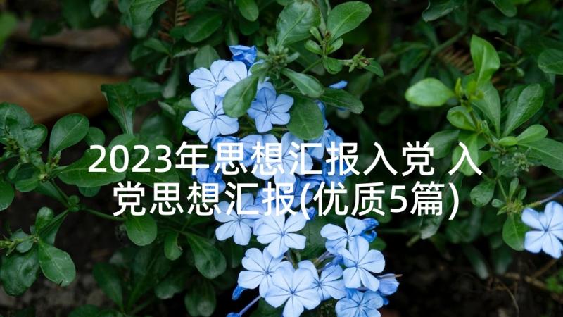 2023年思想汇报入党 入党思想汇报(优质5篇)