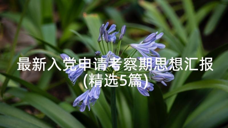 最新入党申请考察期思想汇报(精选5篇)