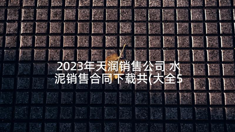 2023年天润销售公司 水泥销售合同下载共(大全5篇)