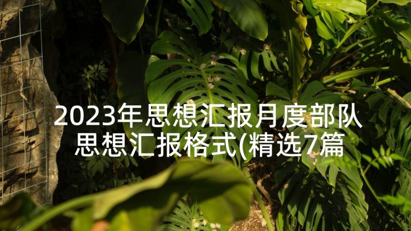 2023年思想汇报月度部队 思想汇报格式(精选7篇)