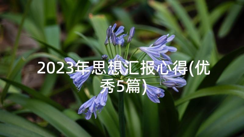 2023年思想汇报心得(优秀5篇)