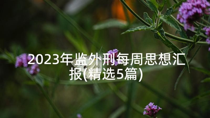 2023年监外刑每周思想汇报(精选5篇)