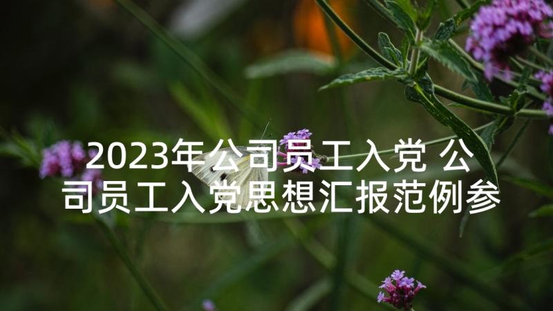 2023年公司员工入党 公司员工入党思想汇报范例参考(大全5篇)