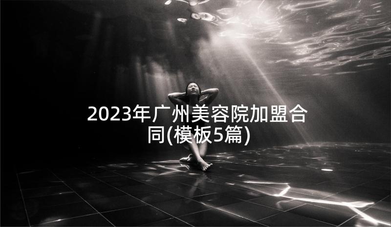 2023年广州美容院加盟合同(模板5篇)