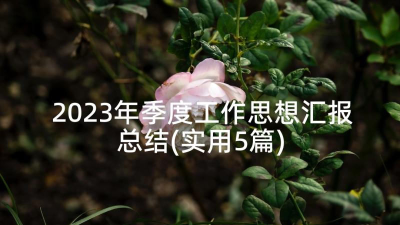 2023年季度工作思想汇报总结(实用5篇)