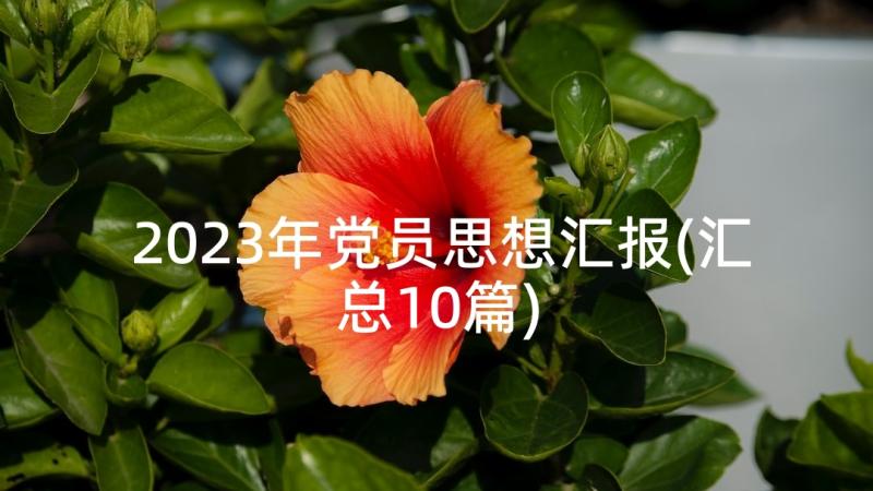 2023年党员思想汇报(汇总10篇)