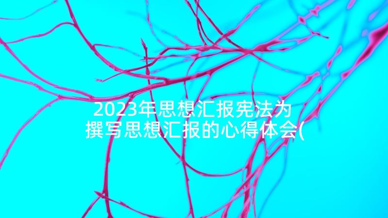 2023年思想汇报宪法为 撰写思想汇报的心得体会(大全7篇)