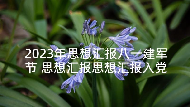 2023年思想汇报八一建军节 思想汇报思想汇报入党思想汇报(通用9篇)