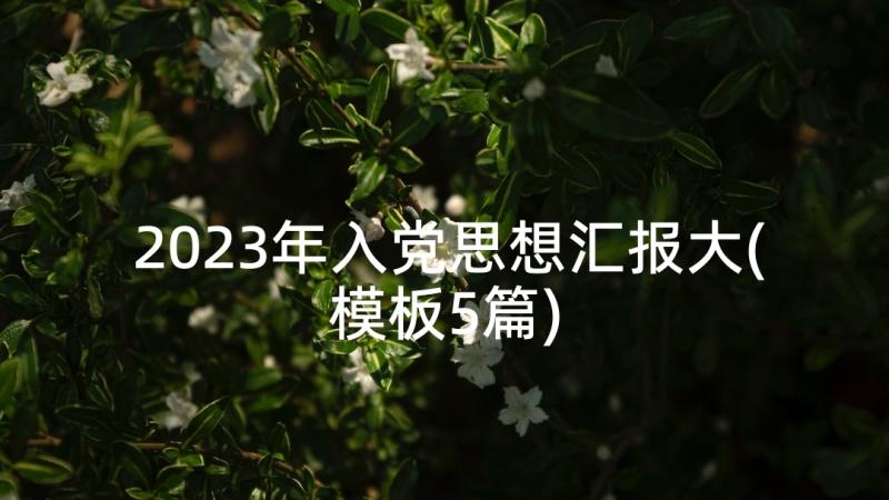 2023年入党思想汇报大(模板5篇)