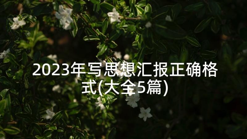 2023年写思想汇报正确格式(大全5篇)