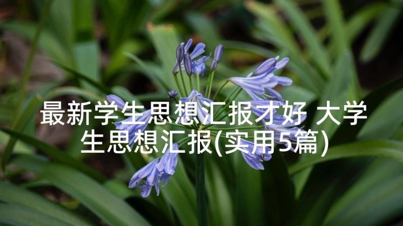 最新学生思想汇报才好 大学生思想汇报(实用5篇)