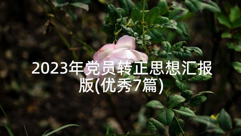 2023年党员转正思想汇报版(优秀7篇)