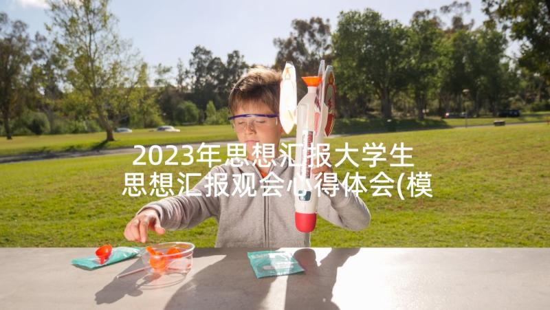 2023年思想汇报大学生 思想汇报观会心得体会(模板9篇)