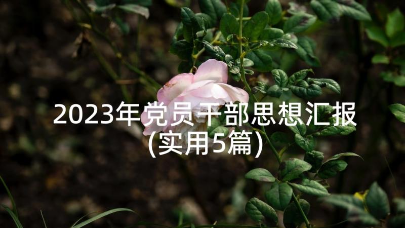 2023年党员干部思想汇报(实用5篇)