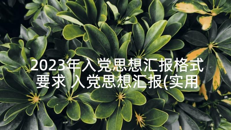 2023年入党思想汇报格式要求 入党思想汇报(实用5篇)