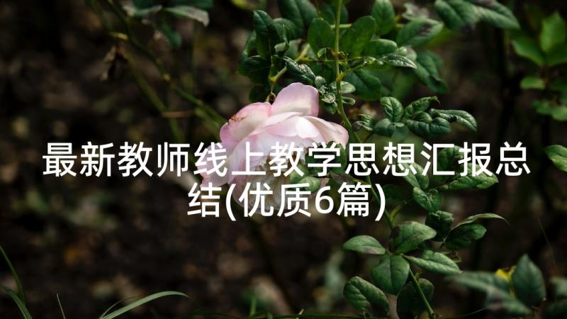 最新教师线上教学思想汇报总结(优质6篇)