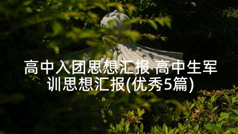 高中入团思想汇报 高中生军训思想汇报(优秀5篇)