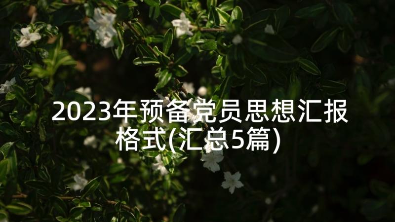 2023年预备党员思想汇报格式(汇总5篇)