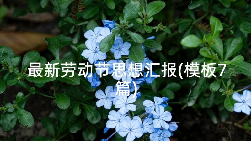 最新劳动节思想汇报(模板7篇)